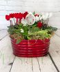 Side view of festive red Christmas planter