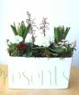 Stylish Latina Planter                 