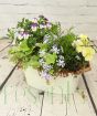 Large Cream Planter April 2025