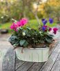 Large Cream Planter 2025
