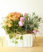 Latina Planter