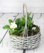 Spring Trug