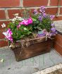 Spring Planter
