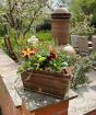 spring planter on patio