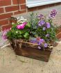 spring planter in purples