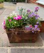 Spring Planter