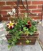 Spring Planter