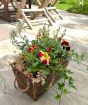 Spring Planter