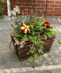 Spring Planter
