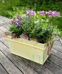 Summer planter