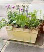 Summer Planter