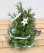 Xmas Rosemary