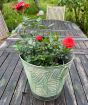 Happy Birthday Roses     