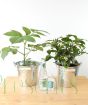 Elderflower Gin Gift Set      