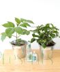 Spring Gin Gift Set