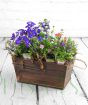 Spring planter