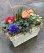 Spring Planter