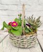 Spring Trug