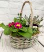 Spring Trug