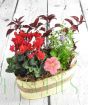 Flowering autumn oval