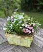 Summer Planter pastels July 2025