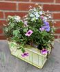 Summer Planter pastels July 2025