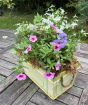 Summer Planter pastels July 2025