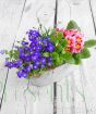 Vintage trough with seasonal flowers from above