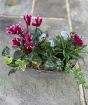 Vintage Trough
