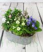 Vintage Trough