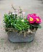 Vintage trough