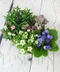 Vintage Trough