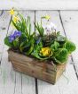 Spring planter