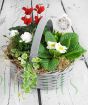Festive trug