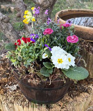 Barrel Planter