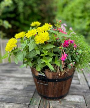 Barrel planter spring 2025