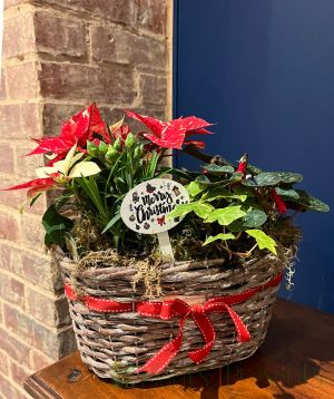 Festive Flower Planter with Merry Christmas stake. 