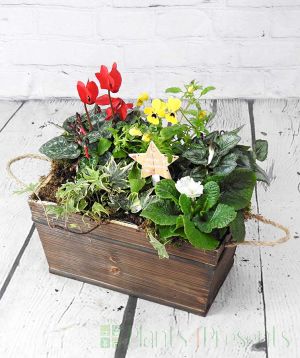 Festive outdoor planter