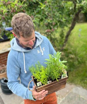 Wooden herb planter