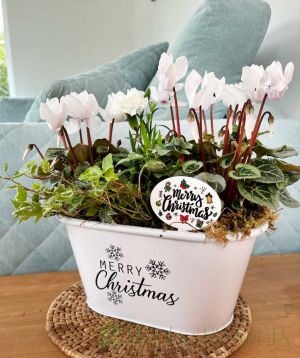 White Christmas Planter  
