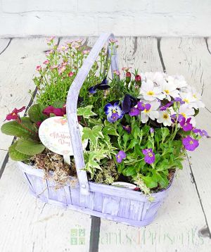 Mothers Day Planter