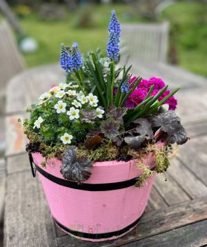 Pink Barrel Planter