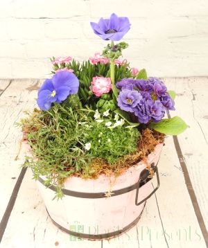 Pink Barrel Planter