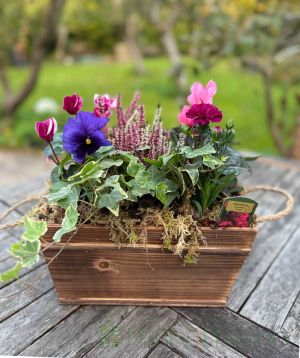 Winter Planter