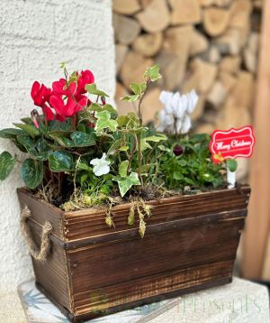 Festive outdoor planter