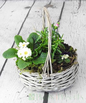 Spring Trug