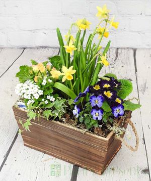 Spring Planter