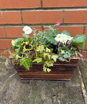 Spring Planter