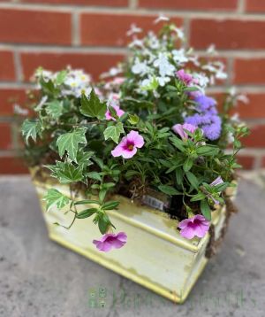 Summer Planter pastels July 2025