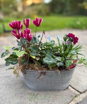 Vintage Trough Autumn